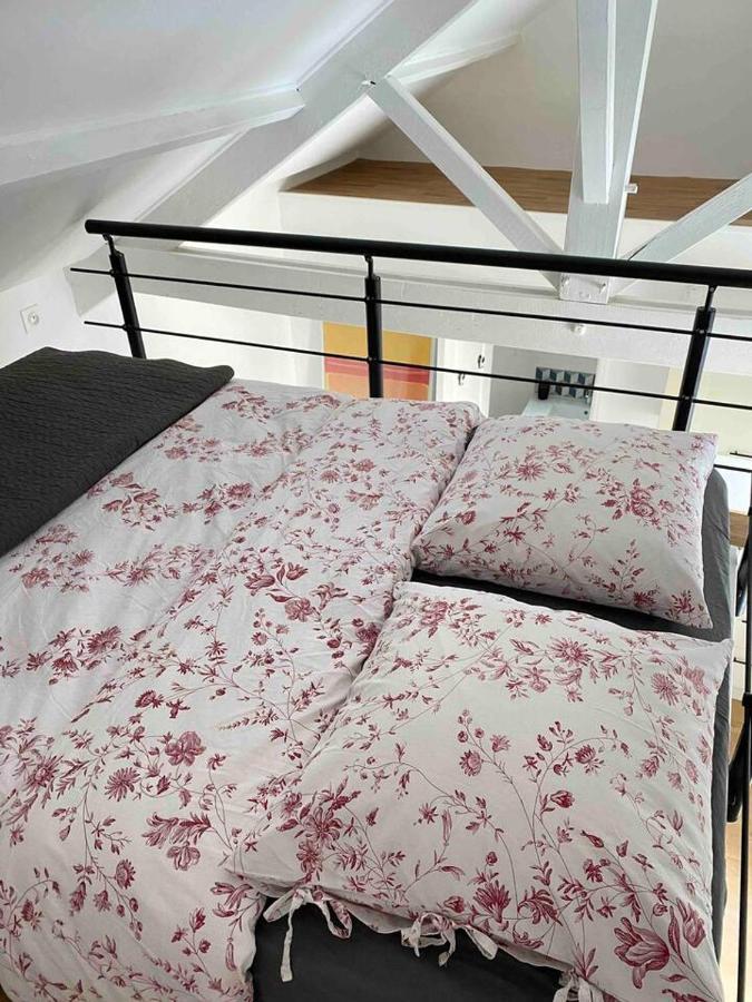 Proche Paris Et Disney-Calme Absolu Vaires-sur-Marne Eksteriør billede